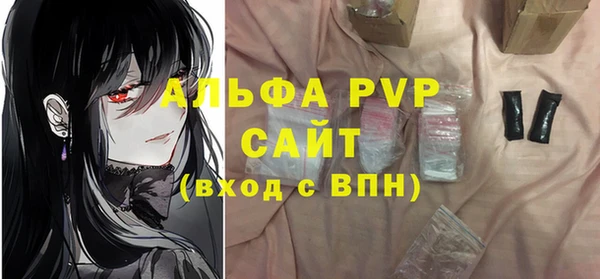индика Инсар