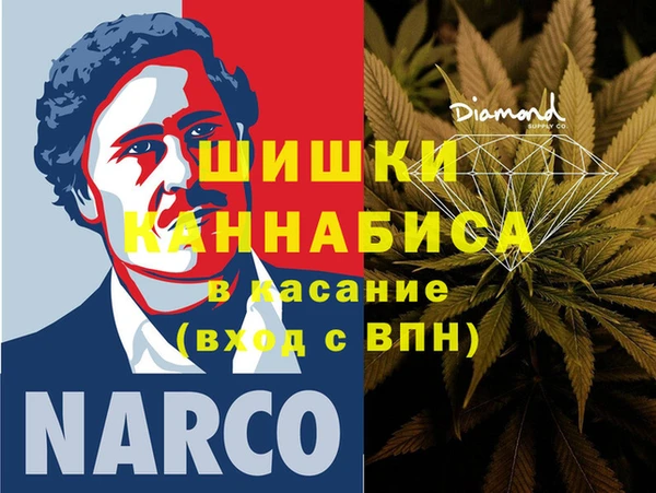 индика Инсар