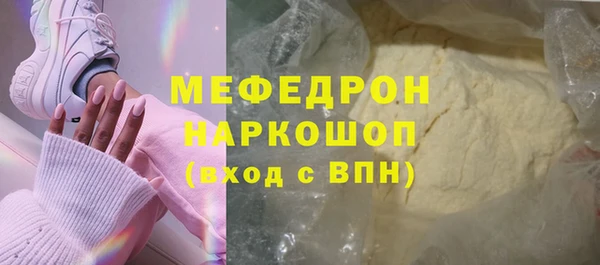 индика Инсар