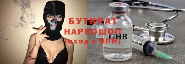 индика Инсар