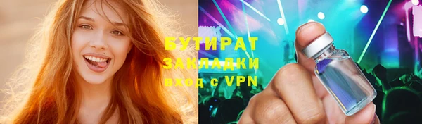 индика Инсар