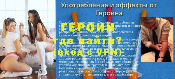 индика Инсар