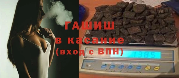 индика Инсар