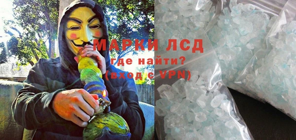 индика Инсар