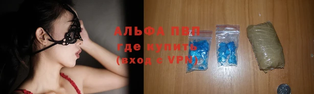 индика Инсар