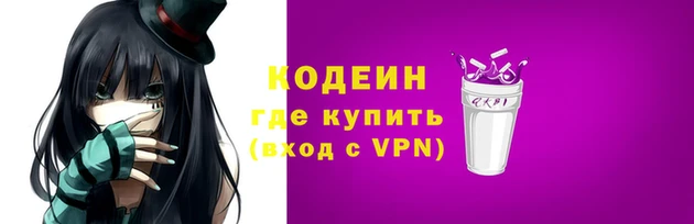 индика Инсар