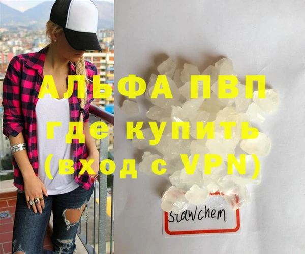 индика Инсар