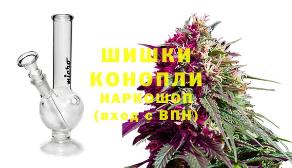 прущая мука Инта