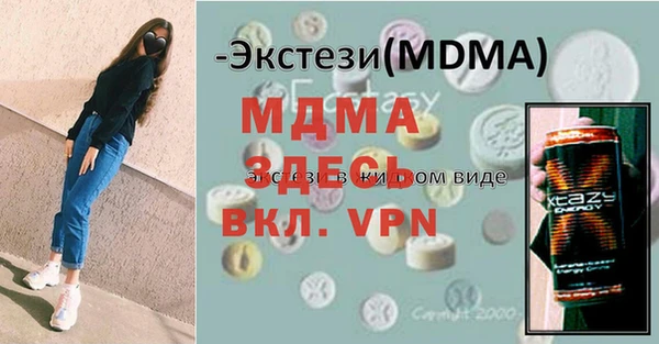 индика Инсар