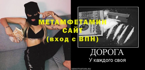 индика Инсар