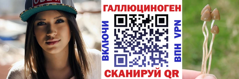 Купить закладки  Новоаннинский  Галлюциногенные грибы Psilocybine cubensis 